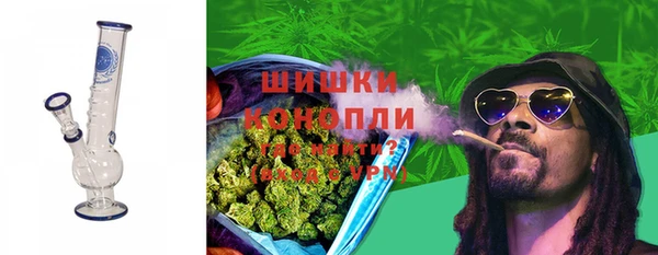 мдпв Вязьма