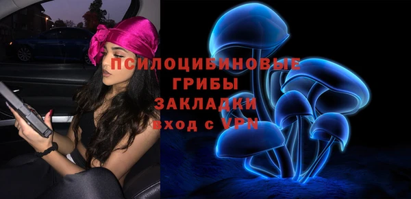 Альфа ПВП Вяземский