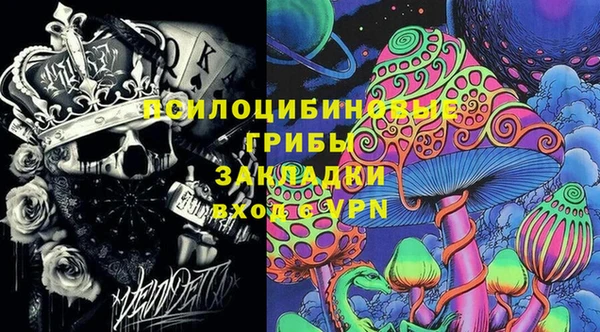 Альфа ПВП Вяземский